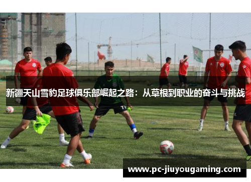 新疆天山雪豹足球俱乐部崛起之路：从草根到职业的奋斗与挑战