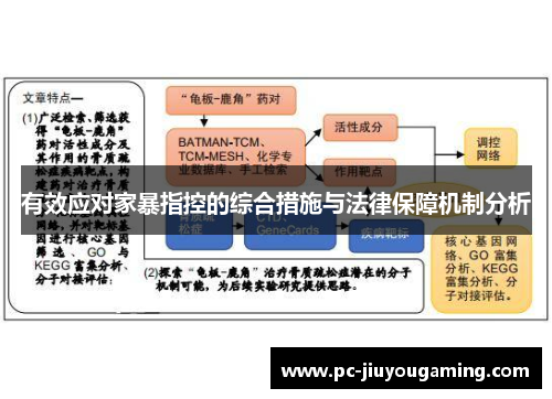 有效应对家暴指控的综合措施与法律保障机制分析