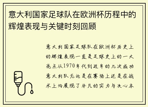 意大利国家足球队在欧洲杯历程中的辉煌表现与关键时刻回顾