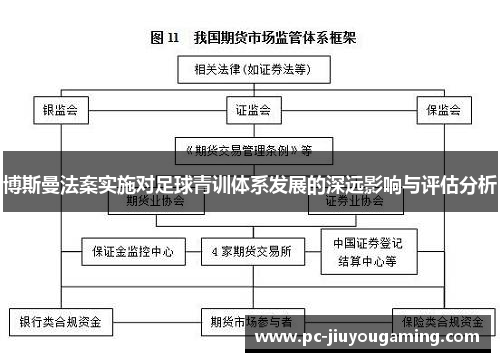 博斯曼法案实施对足球青训体系发展的深远影响与评估分析